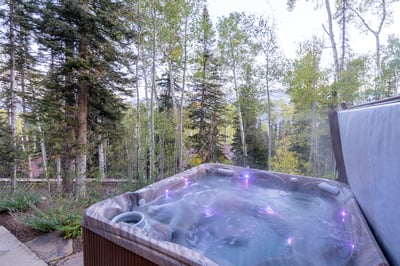 Luxury Villa Photo #33