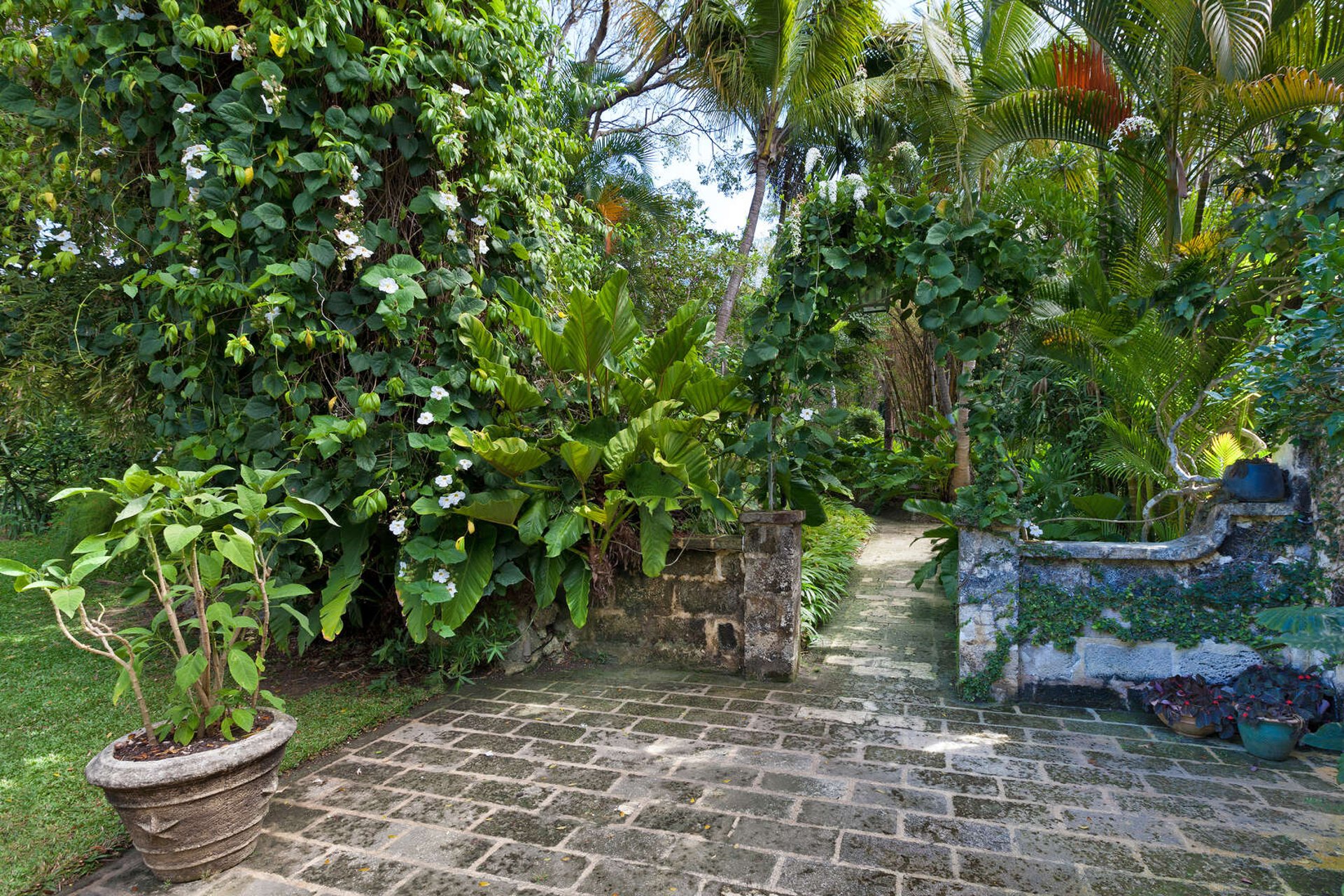 Fustic House - 2