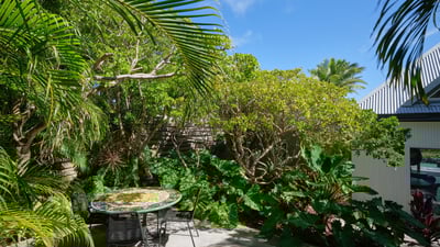 Kitchen & Dining Area