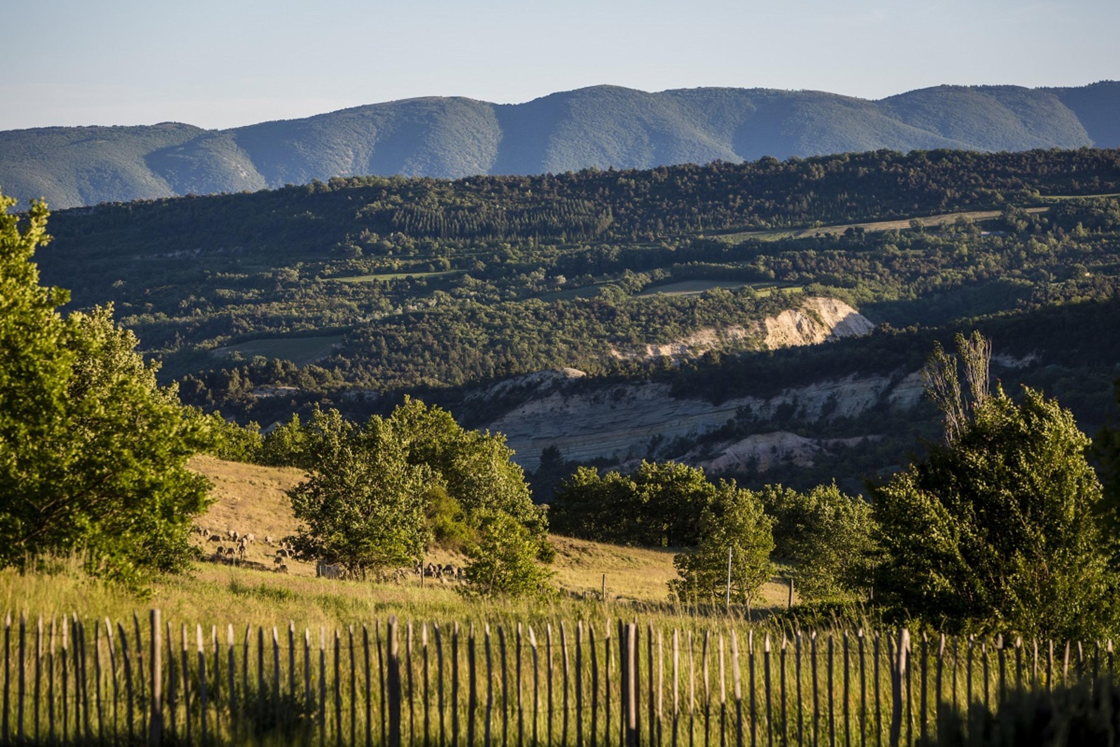 Bastide Provencal - 6