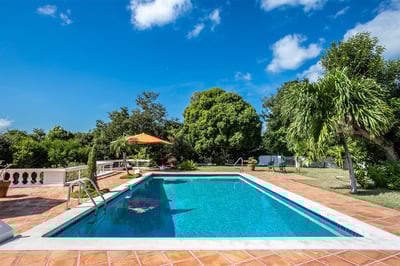 Luxury Villa Photo #6