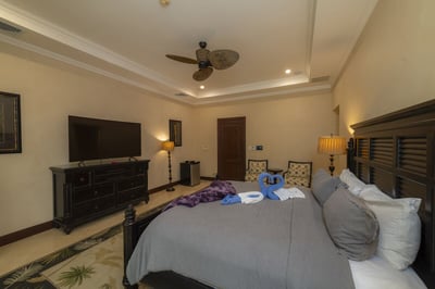 Luxury Villa Photo #46