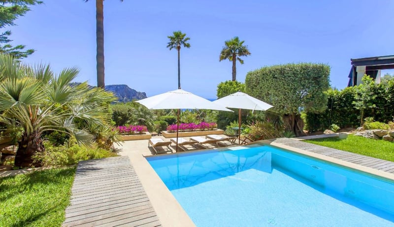 Palmeras de Mallorca