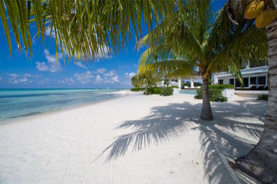 Luxury Villa Photo #27