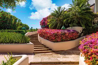 Luxury Villa Photo #8
