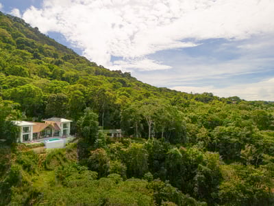 Luxury Villa Photo #3