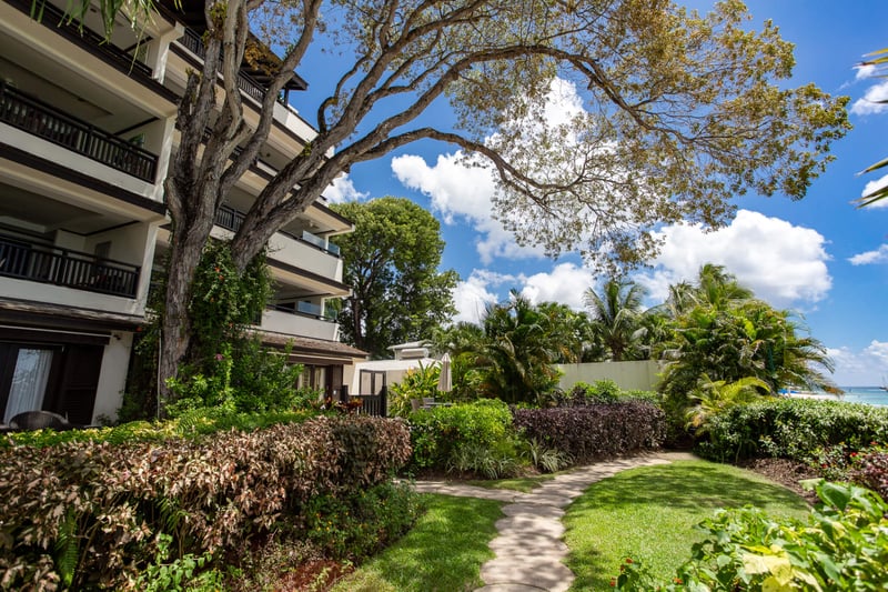 Coral Cove 14 | Crowsnest