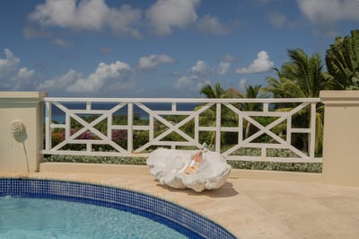 Luxury Villa Photo #6