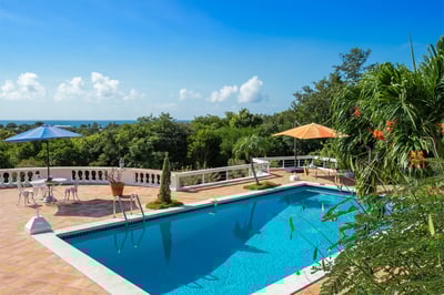 Luxury Villa Photo #7