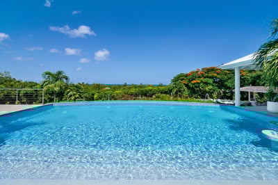 Luxury Villa Photo #4