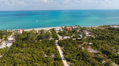 Luxury Villa Photo #7
