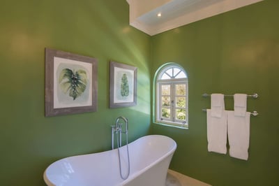 Luxury Villa Photo #32