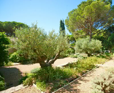 Luxury Villa Photo #16