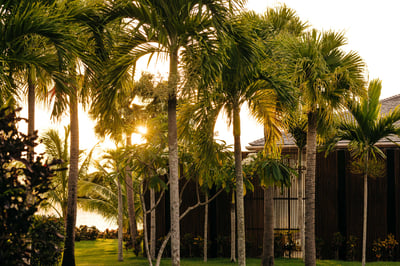 Luxury Villa Photo #16