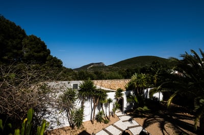 Luxury Villa Photo #38