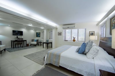 Luxury Villa Photo #31