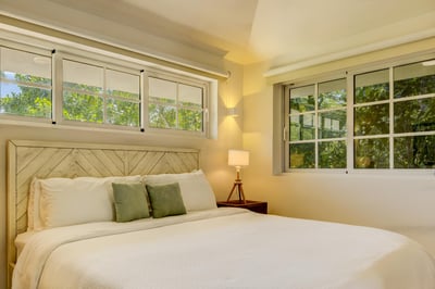 Tortuga B55 – Lush Tropical Garden