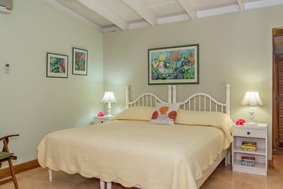 Luxury Villa Photo #17