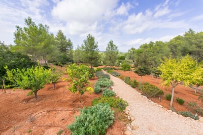 Luxury Villa Photo #13