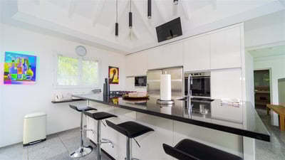 Luxury Villa Photo #19