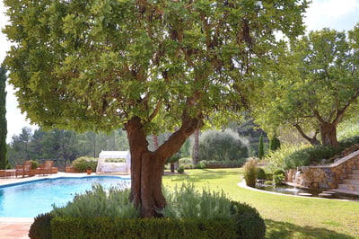 Luxury Villa Photo #6