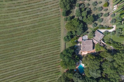 Luxury Villa Photo #40