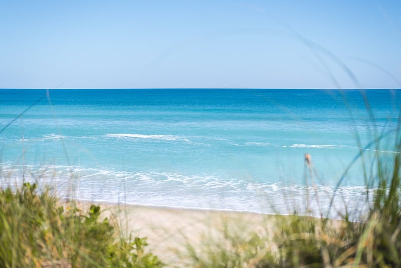 Big Bet at Harbor Island Beach Club