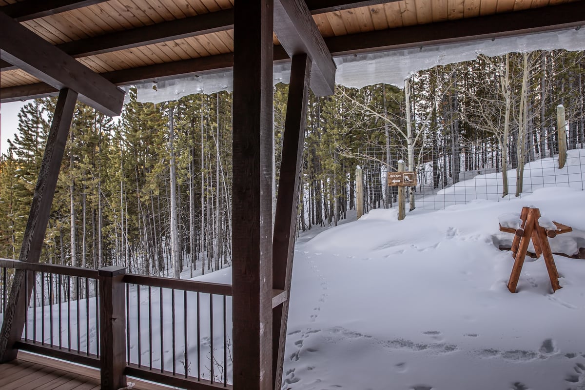 The Last Best Chalet