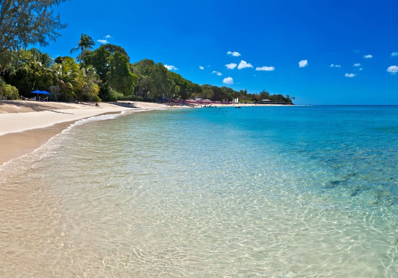 Bluff House and Cottage