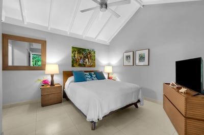 Luxury Villa Photo #30