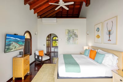 Luxury Villa Photo #53