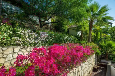 Luxury Villa Photo #10