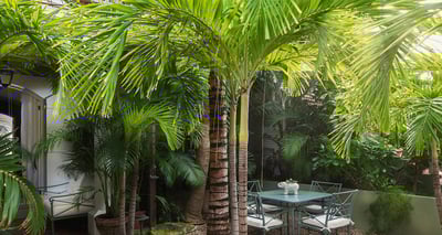 Luxury Villa Photo #14