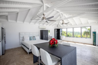 Luxury Villa Photo #51