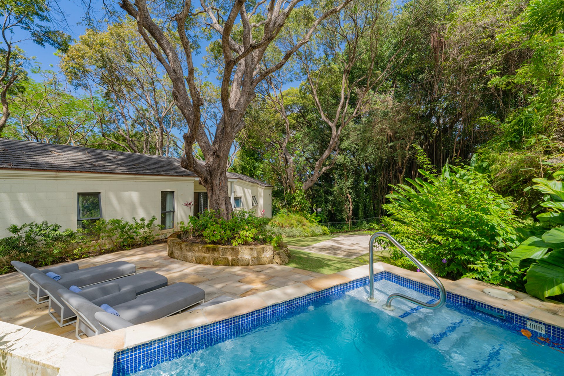 Parnassus Cottage - 1