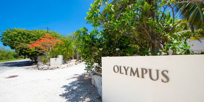 Luxury Villa Photo #46