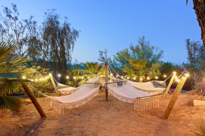 Tranquil hammock garden for a great nap in the sun