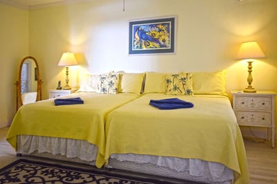 Luxury Villa Photo #9