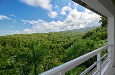 Luxury Villa Photo #10