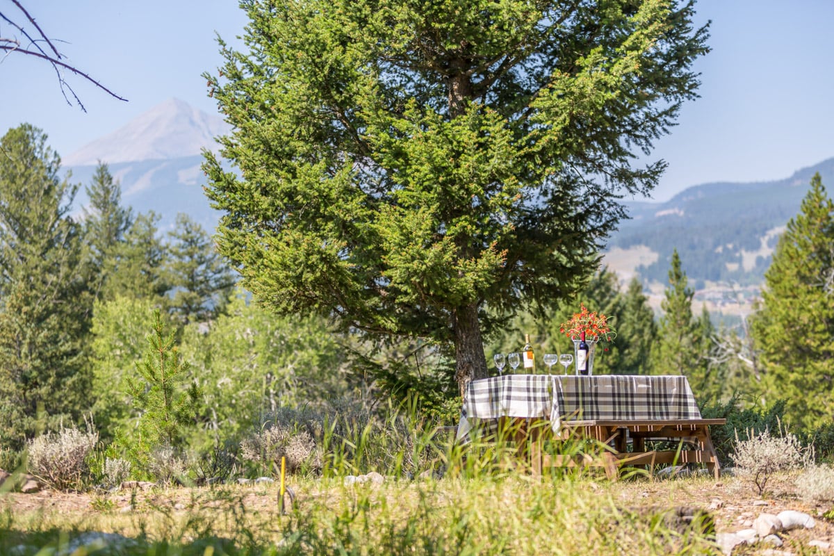 Huckleberry Hideaway