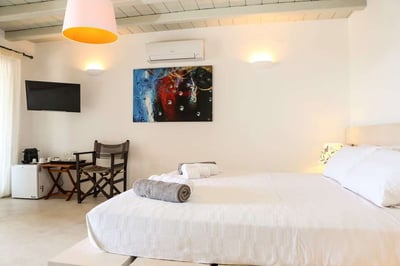 Luxury Villa Photo #19