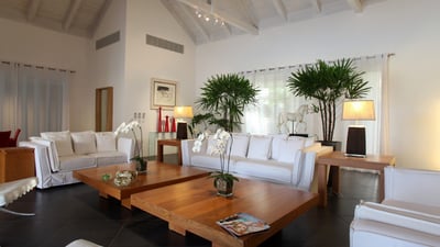 Luxury Villa Photo #11