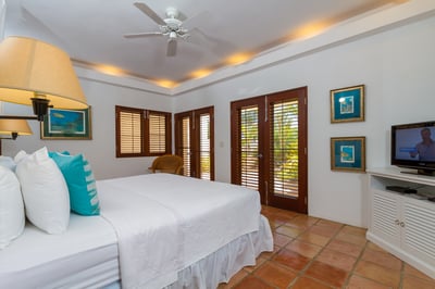 Luxury Villa Photo #11