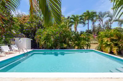 Luxury Villa Photo #2