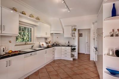 Luxury Villa Photo #3
