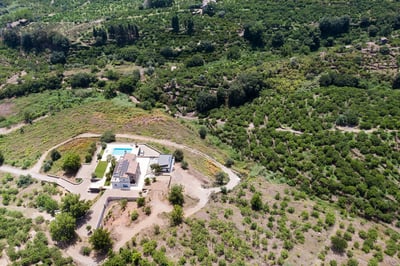 Luxury Villa Photo #17