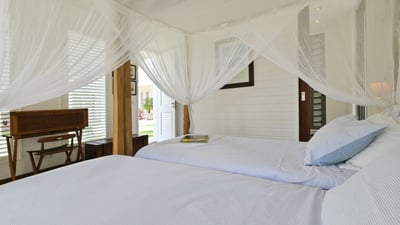Luxury Villa Photo #51