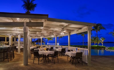 Palapa
