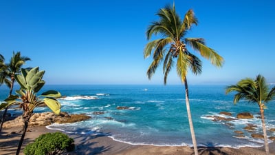 Luxury Villa Photo #47