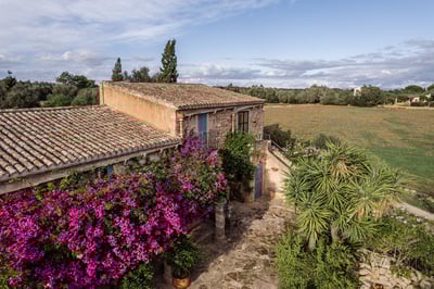 Luxury Villa Photo #60